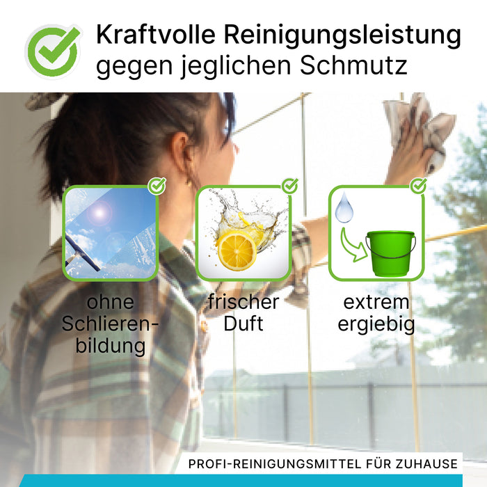 BiOHY Glas- und Oberflächenreiniger 10L (B2B) – Anwendungsbeispiel Fenster