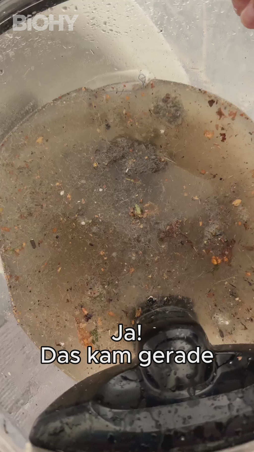 Video: BiOHY Teppichreiniger für Waschsauger im 10-Liter-Kanister – Großgebinde für Sprühextraktionsgeräte
