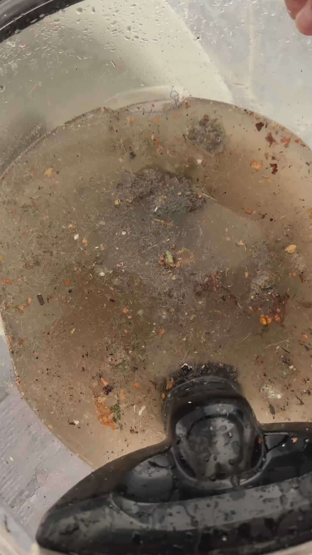 Video: BiOHY Teppichreiniger für Waschsauger – Sprühextraktion mit Kärcher Puzzi, Vax und Bissell